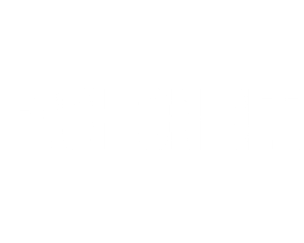 Fashion Bee